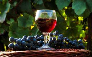 Вино перестало бродить: что делать виноделу