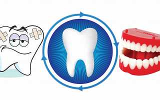 Чем укрепить десны, чтобы не шатались зубы?