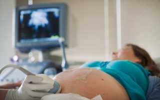 Седьмой месяц беременности: изменения в организме женщины и развитие плода