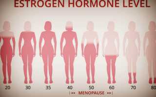 За что отвечает гормон эстроген у женщин