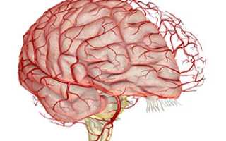 Лечение сосудов головного мозга народными методами
