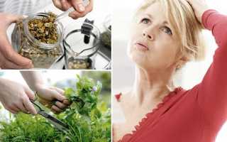 Как пользоваться травами во время менопаузы: рецепты и рекомендации