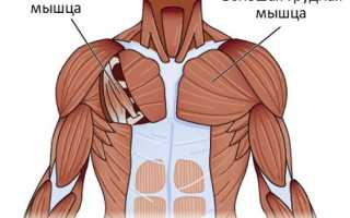 Растяжение грудной мышцы