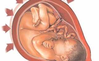 Брусничный лист: можно ли пить при беременности