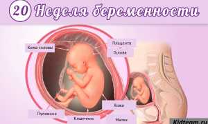 Нормы допплерометрии при беременности