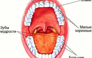 Лечение зубов при беременности во втором триместре