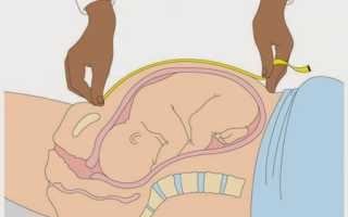 Зачем беременным измеряют высоту дна матки