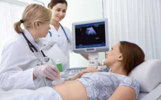 19 акушерская неделя беременности — изменения в организме, развитие плода, советы мамам
