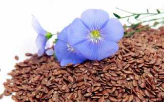 Семена льна: польза и вред, как принимать лен правильно с пользой для организма