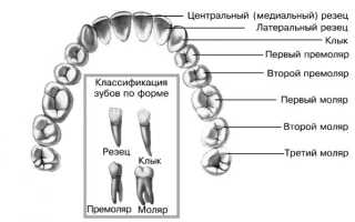 Болит передний верхний зуб